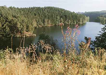 Bild 1 Ferienhaus 11447