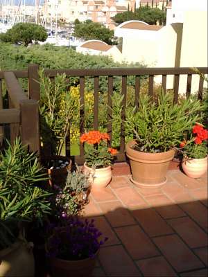 Bild 5 Ferienhaus 11673