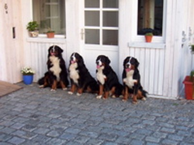 Bild 5 Ferienwohnung 12765