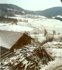 Bild 1 Ferienhaus 12792