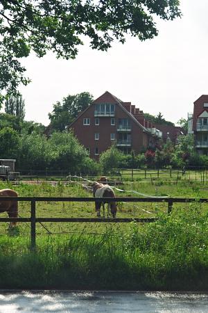 Bild 5 Ferienwohnung 13566