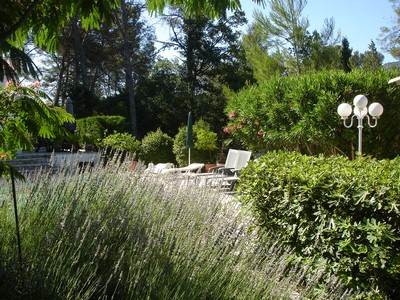 Bild 1 Ferienhaus 13685