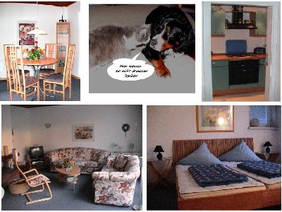 Bild 3 Ferienhaus 14447