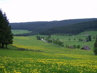 Bild 1 Ferienhaus 14477