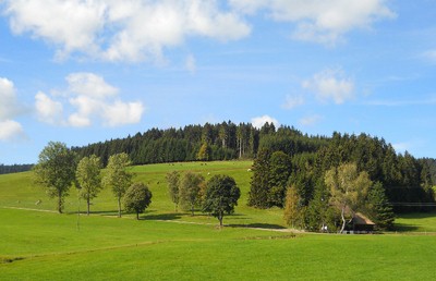 Bild 5 Ferienhaus 14478