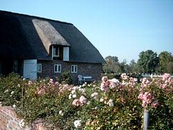 Bild 1 Ferienwohnung 14488