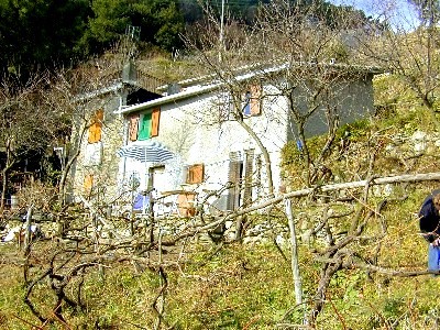 Bild 1 Ferienhaus 15664