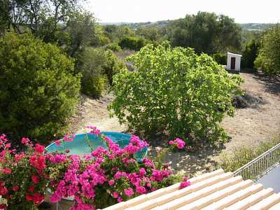 Bild 1 Ferienhaus 15983