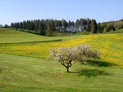 Bild 2 Ferienwohnung 16425