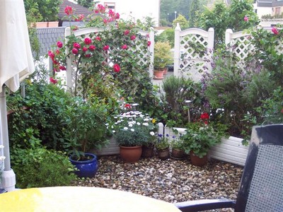 Bild 5 Ferienwohnung 16498