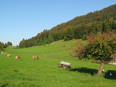 Bild 5 Ferienwohnung 16500