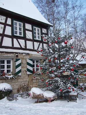 Bild 5 Ferienwohnung 16797