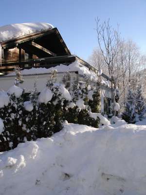 Bild 5 Ferienhaus 16835