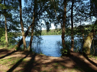 Bild 5 Ferienhaus 16991