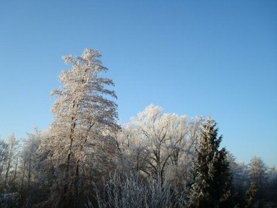 Bild 2 Ferienhaus 17031