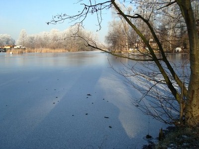 Bild 4 Ferienhaus 17031