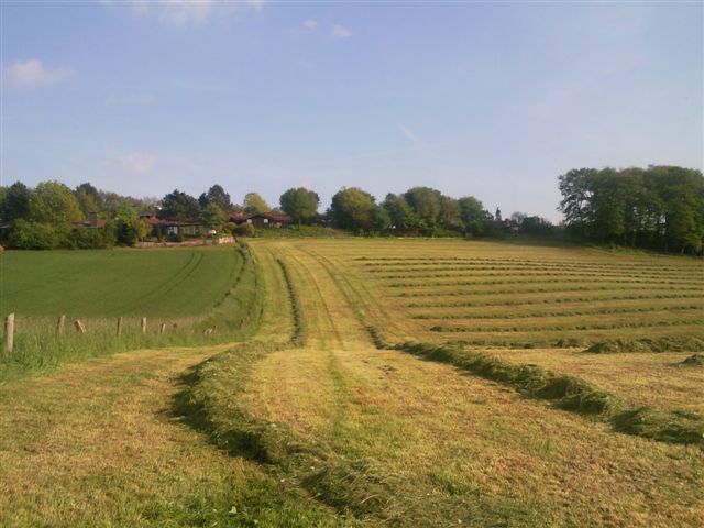 Bild 10 Gastgeber 17138