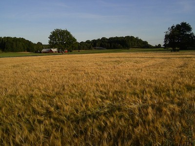 Bild 1 Ferienhaus 17292