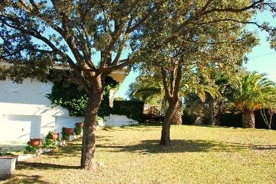 Bild 1 Ferienhaus 17437