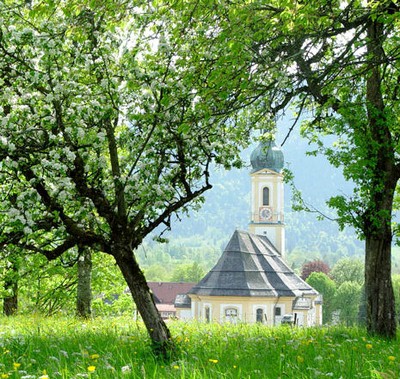 Bild 2 Ferienwohnung 17456