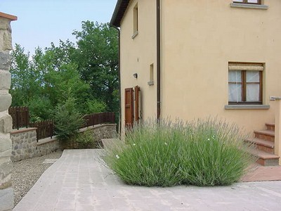 Bild 3 Ferienhaus 17517