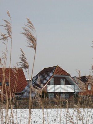 Bild 1 Ferienhaus 18700