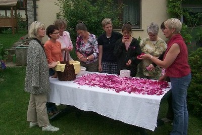 Bild 5 Ferienhaus 22170