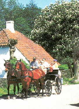 Bild 1 Ferienhaus 46101