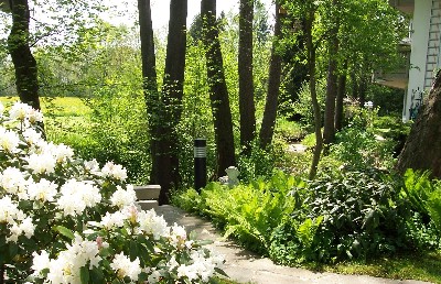 Bild 1 Ferienwohnung 55460