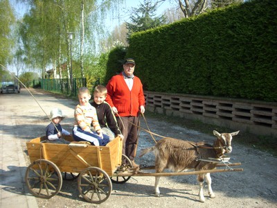 Bild 1 Ferienhaus 69955