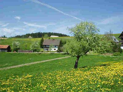Bild 1 Ferienwohnung 73910