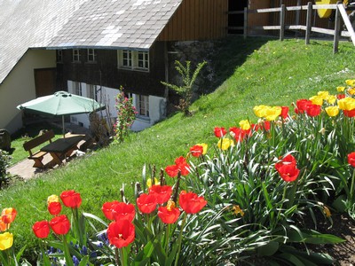 Bild 3 Ferienhaus 90429