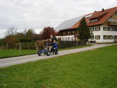 Bild 5 Ferienhaus 90453
