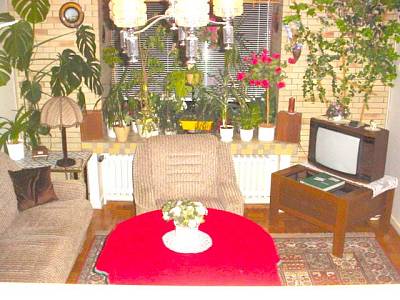 Bild 1 Ferienwohnung 93831