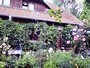 Gastgeber: Blankensee/OT Wanzka, Mecklenburgische Seenplatte, Mecklenburg-Vorpommern