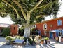 Gastgeber: Les Vign�res, Avignon-Orange-Mont Ventoux, Provence