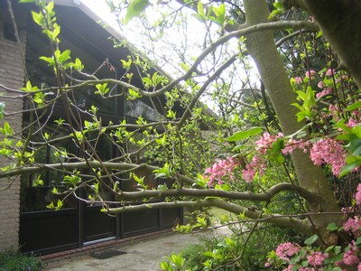 Bild 3 Ferienhaus 10112