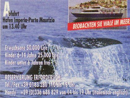 Bild 3 Ferienwohnung 10673