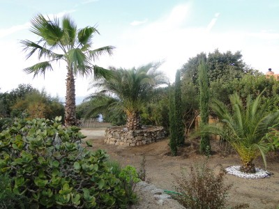 Bild 5 Ferienhaus 10717