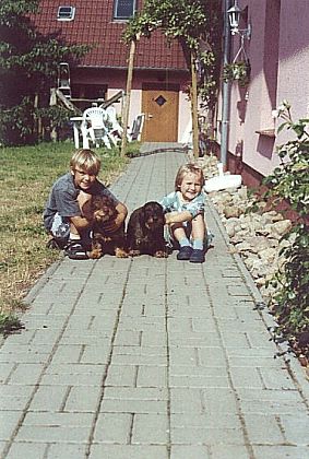 Bild 3 Ferienwohnung 13415