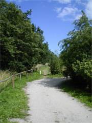 Bild 4 Ferienhaus 13633