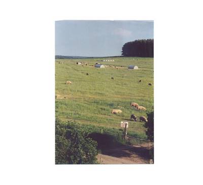 Bild 1 Ferienhaus 15263