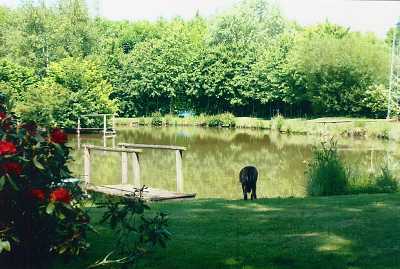 Bild 2 Ferienhaus 15823