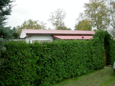 Bild 5 Ferienwohnung 15832