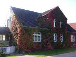 Bild 1 Ferienwohnung 16334