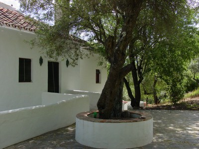 Bild 5 Bauernhof 17614