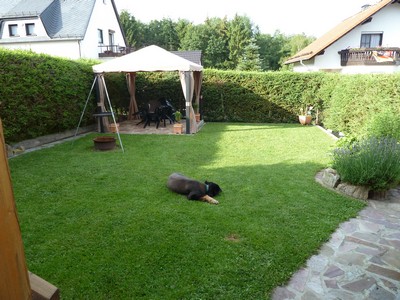 Bild 1 Ferienwohnung 17984