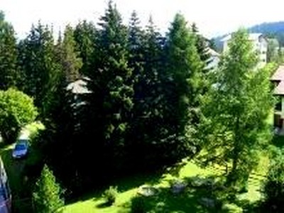 Bild 2 Ferienwohnung 18118
