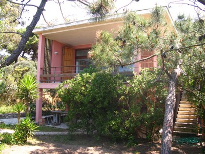 Bild 1 Ferienhaus 18548