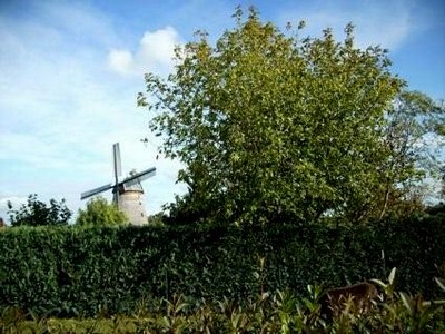 Bild 5 Ferienhaus 34842